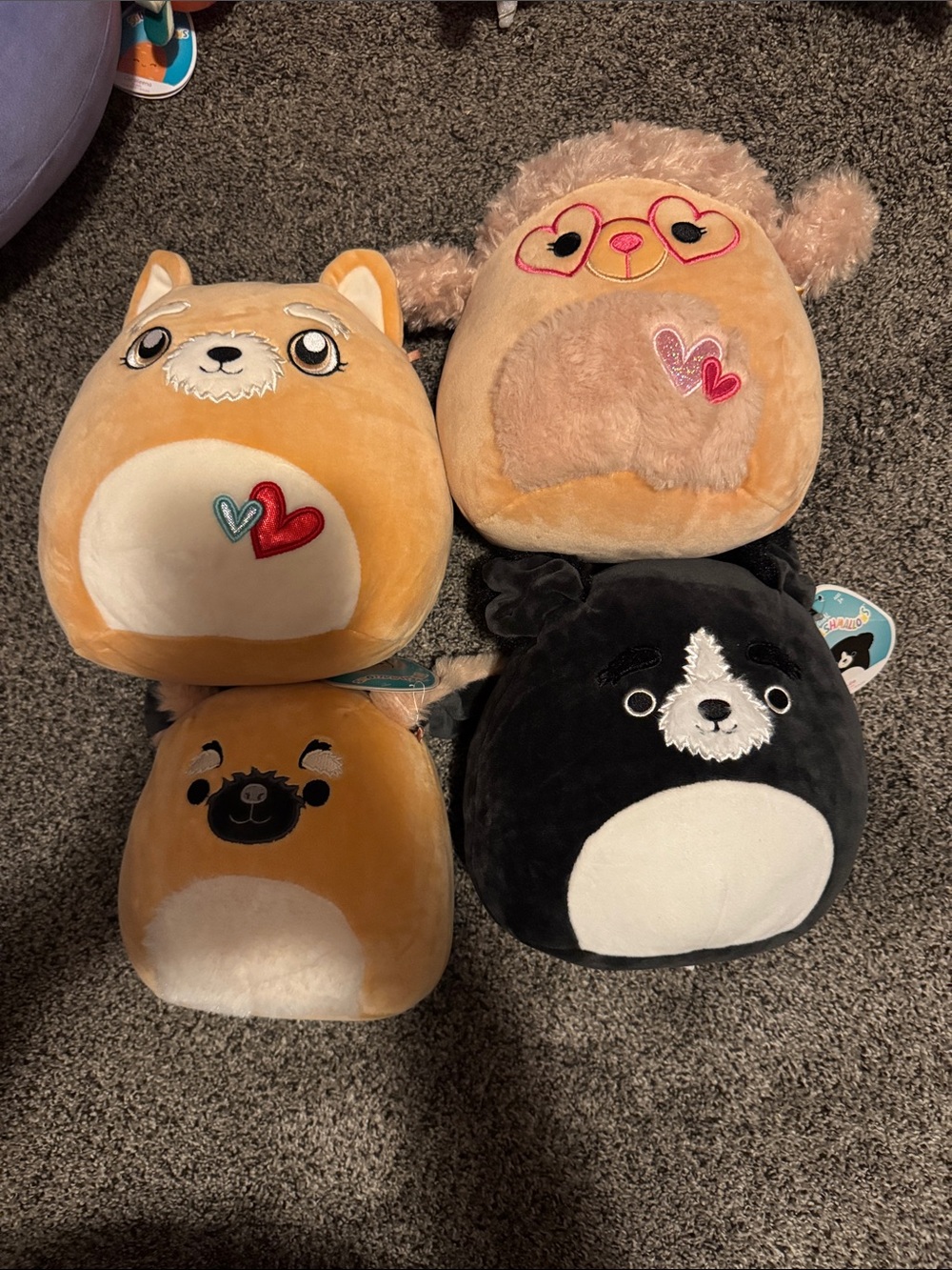 Squishmallows Plush Pet Collection - Tan, Black & Pink Accents